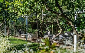 Hotel Capri (Adults Only)